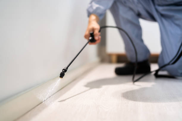 Licensed Pest Control service in Gibraltar, MI - Show Me Pest Control