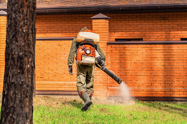 Bed Bug Clearance Verification and Documentation in Gibraltar